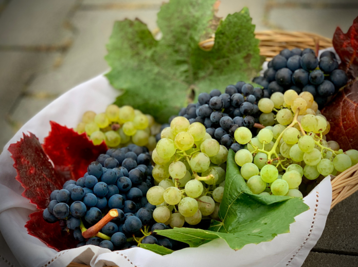 7 здравствени придобивки од грозјето