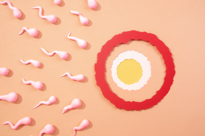 9 начини да го зголемите бројот на сперматозоиди